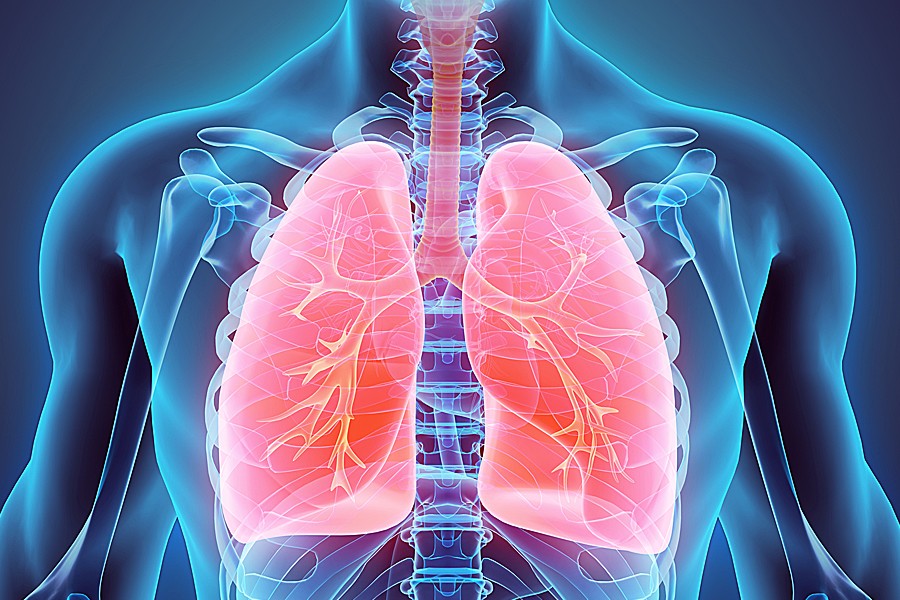 Student-to-Student Therapeutic Workshop on Respiratory System at ASMI